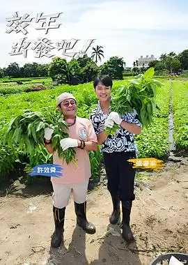 深夜食堂研究所综艺在线看